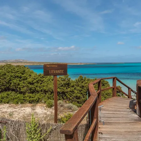 Appartamento Locazione Turistica Capo Falcone Charming - Sti260